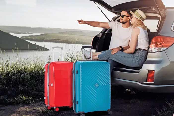 VIP Industries.